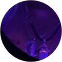 katie marie profile picture